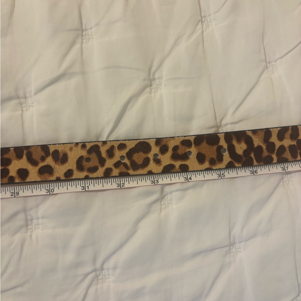 Express Calf Hair Leopard Print Belt with Gold Buckle - Picture 10 of 10